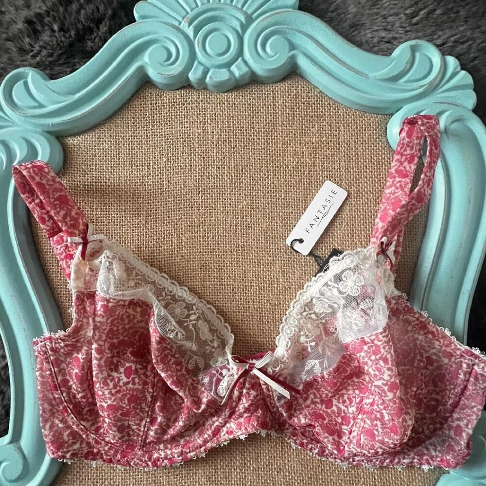 Fantasie Underwire Bra 32 DD Pink and Deep Pink NWT